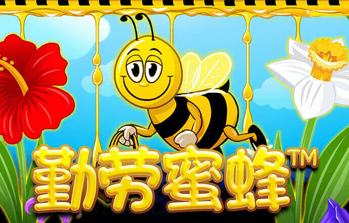 半岛棋牌最新版